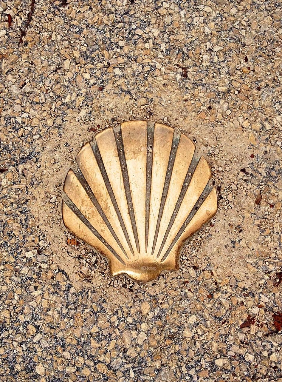 Shell