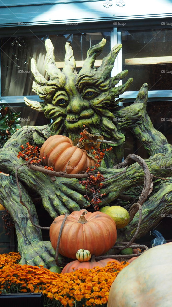 Halloween scare tree face. Tree with scaring and friendly face on surface halloween themed decor