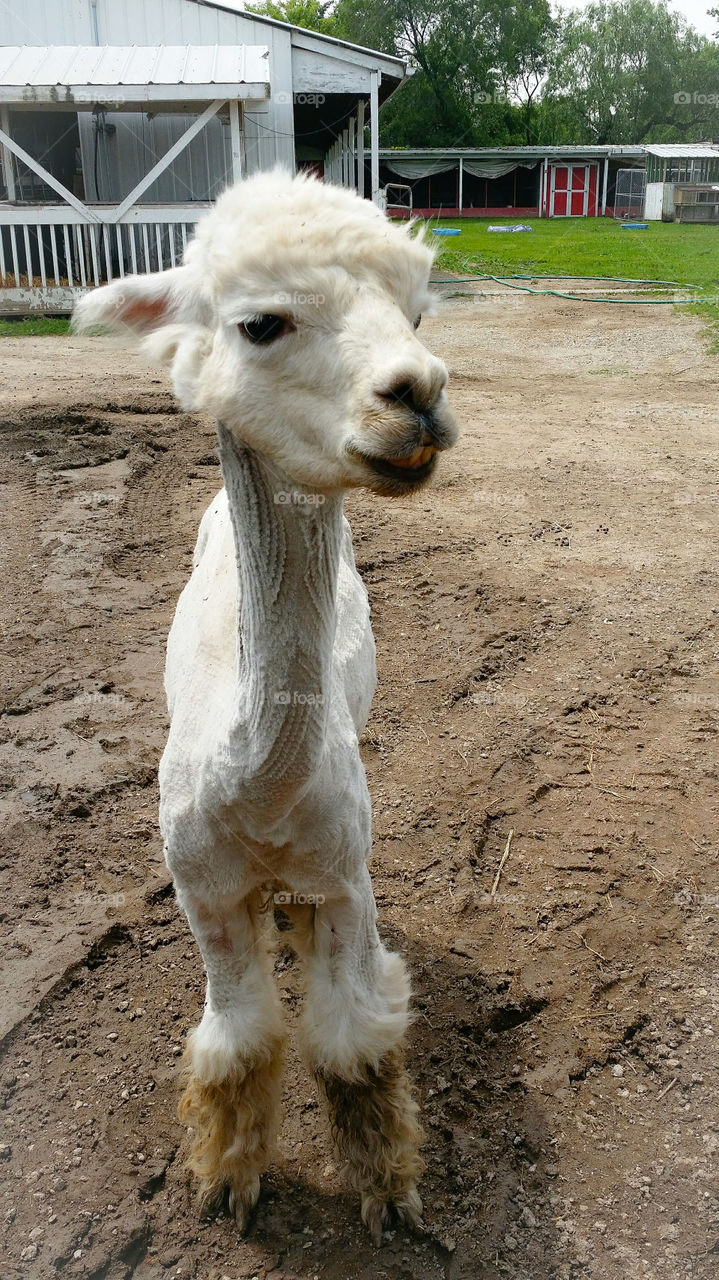 Well hello.. Do you like my new haircut?