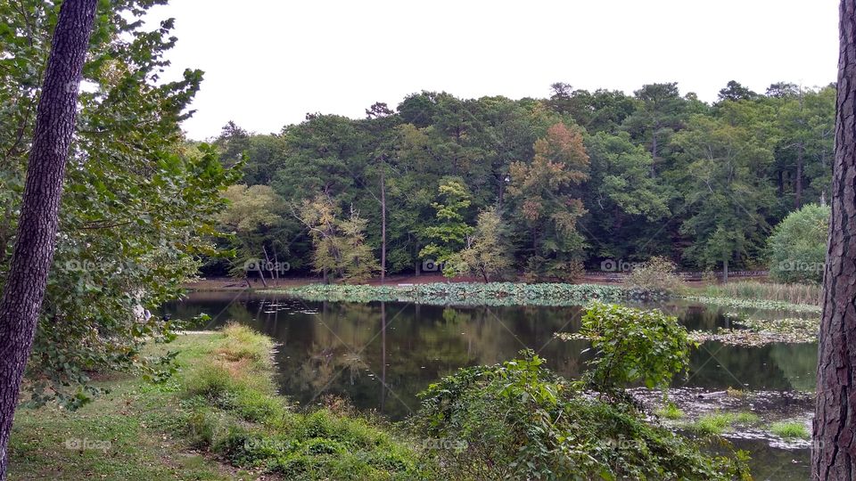 Pond at Forest Hill Park Richmond Virginia