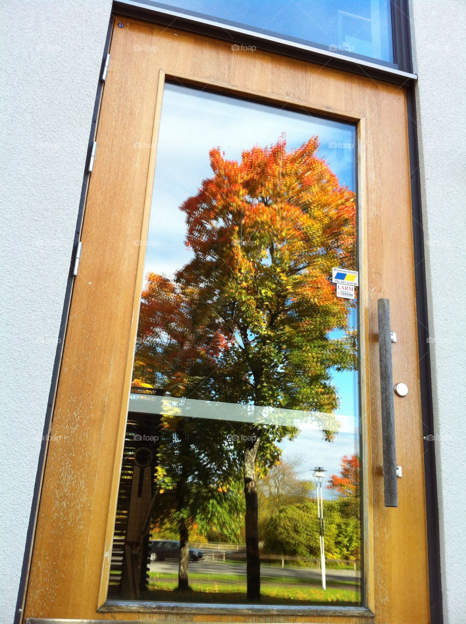 glass tree fall autumn by ingalena