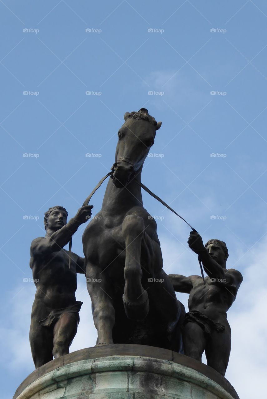 Castor&Pollux, South-African Memorial Battle of the Somme. 