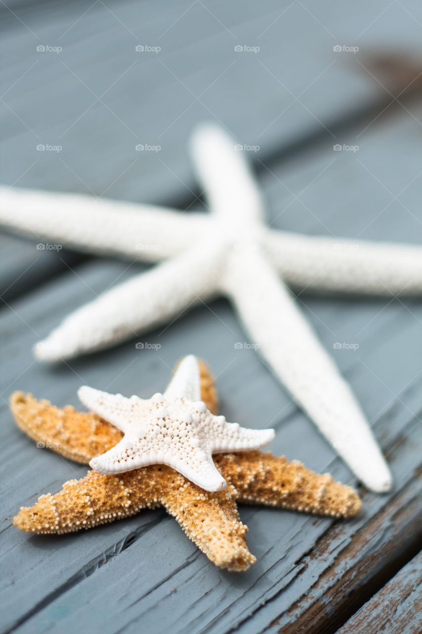 Starfishes on wood