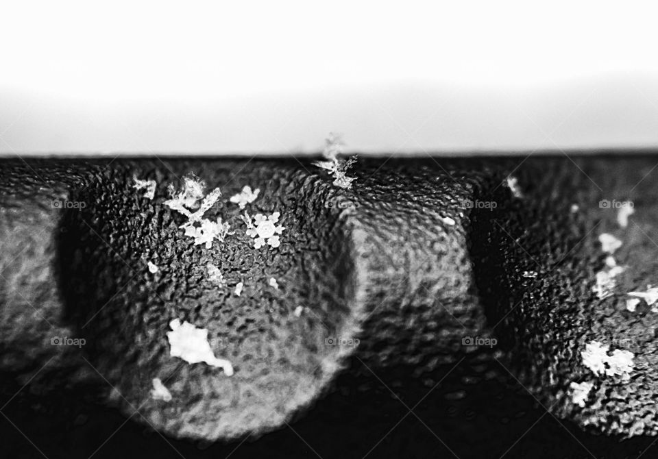 Snowflake macro moment 