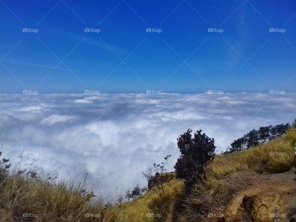 above the cloud