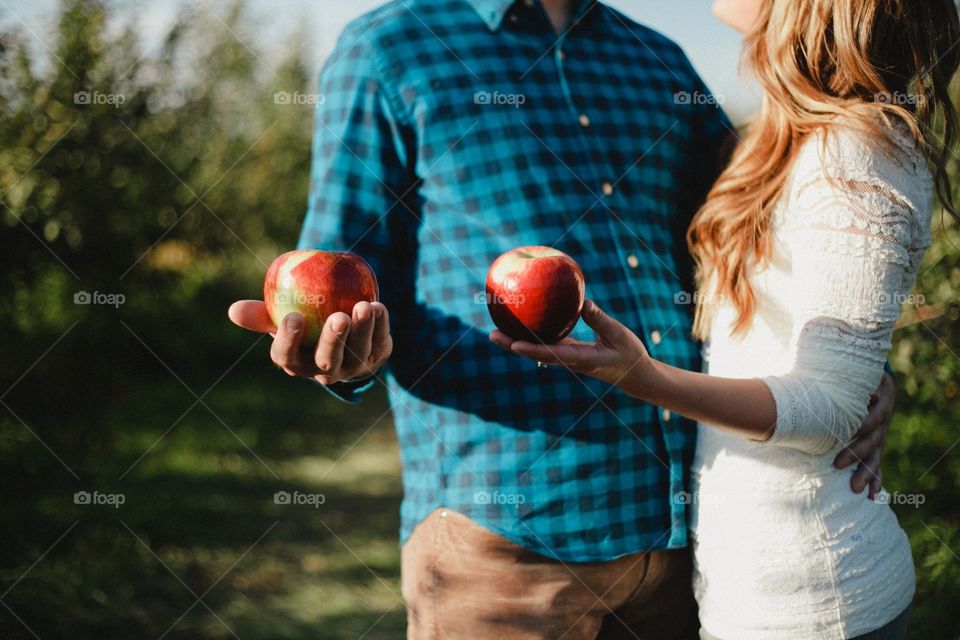 Apple picking 