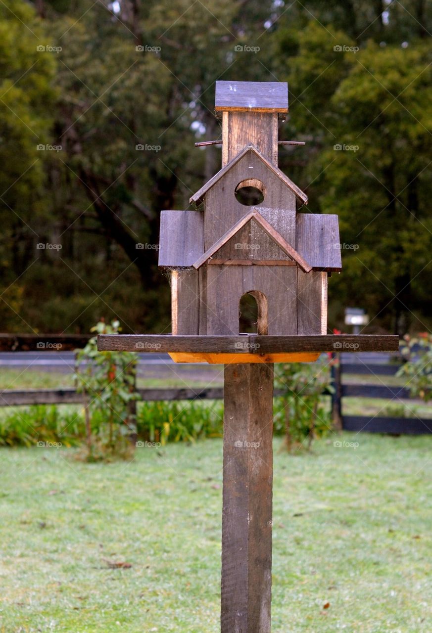 Bird House