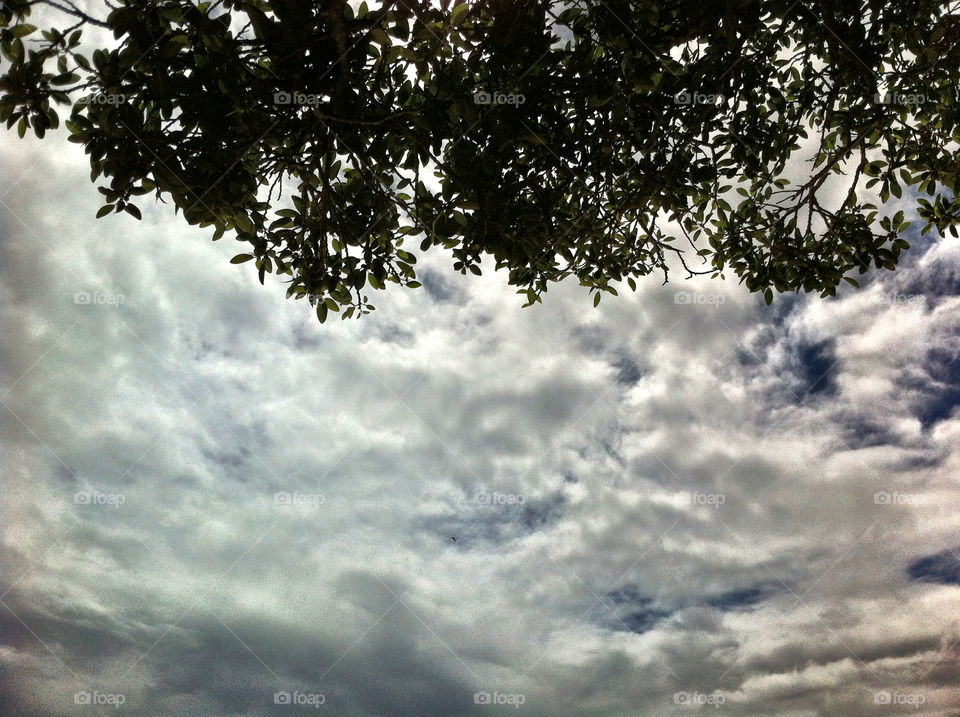 sky nature blue outdoors by king