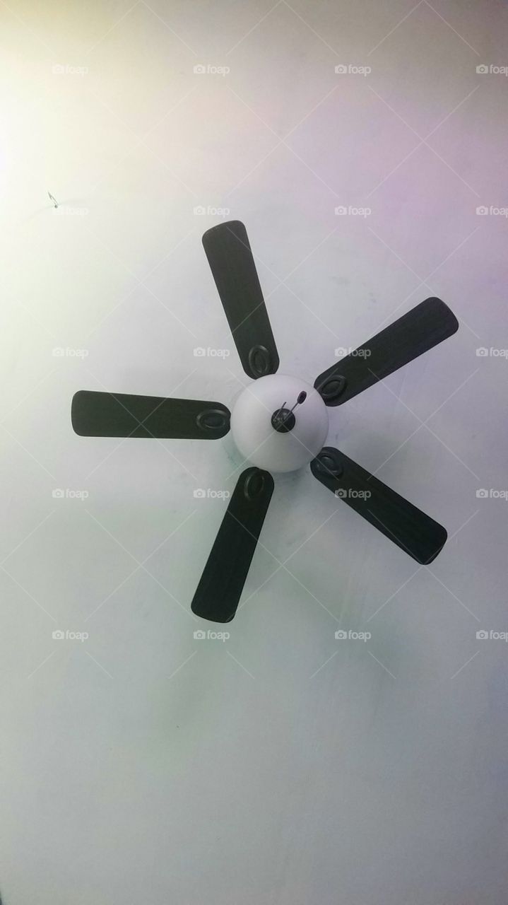 the ceiling fan