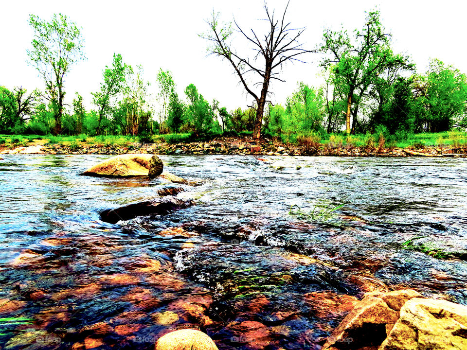 Poudre River, Fort Collins, Colorado, #2