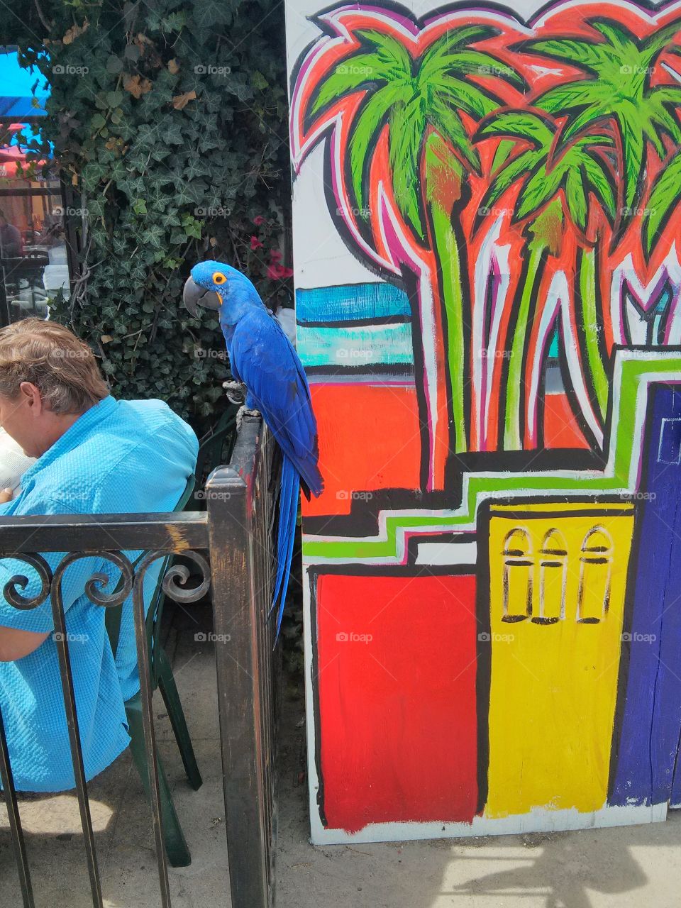 Photo taken in 2014 in a cafe near Venice Beach 