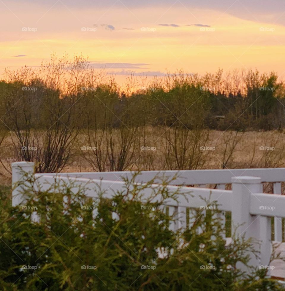 Spring sunset in the country