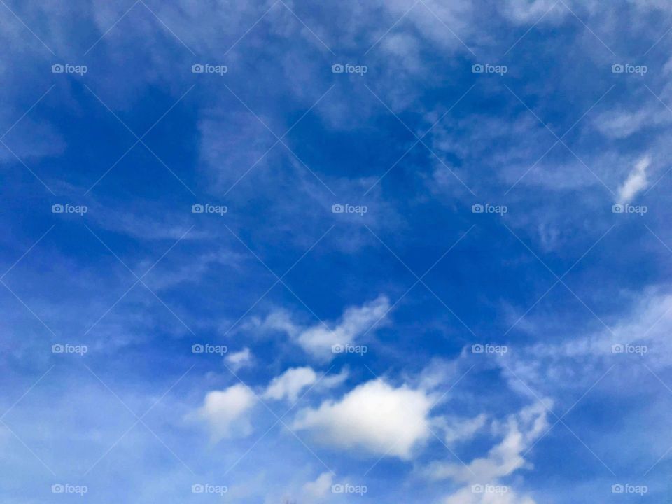 Eye to the sky on a beautiful winter day