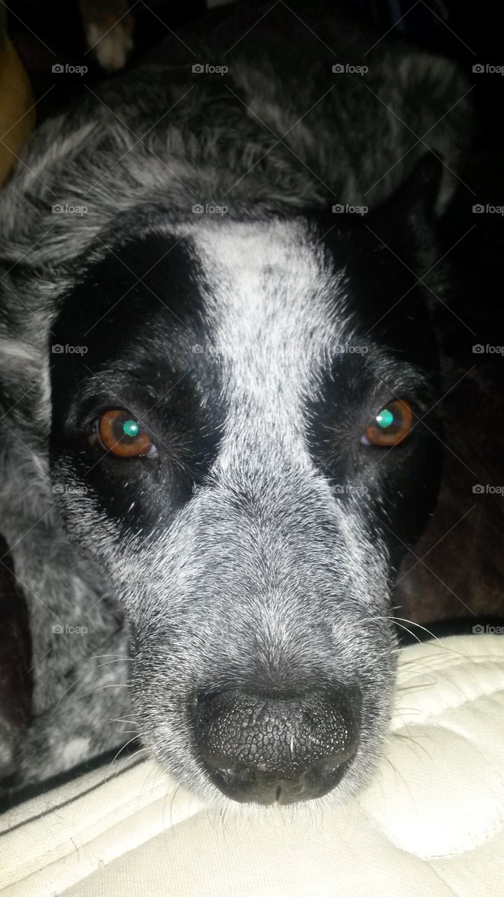 now can I have your food