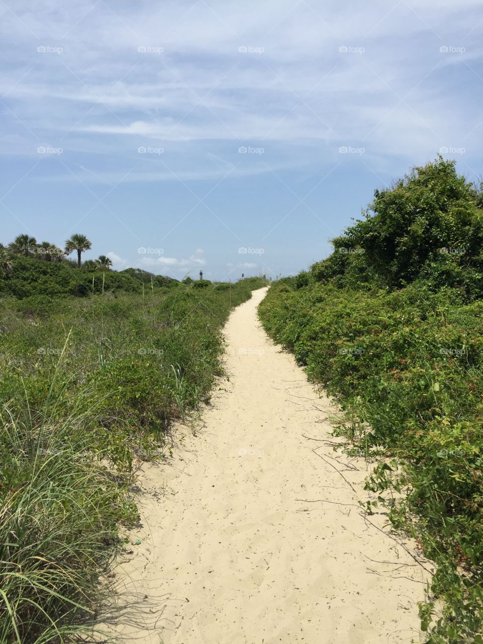 Sand path 