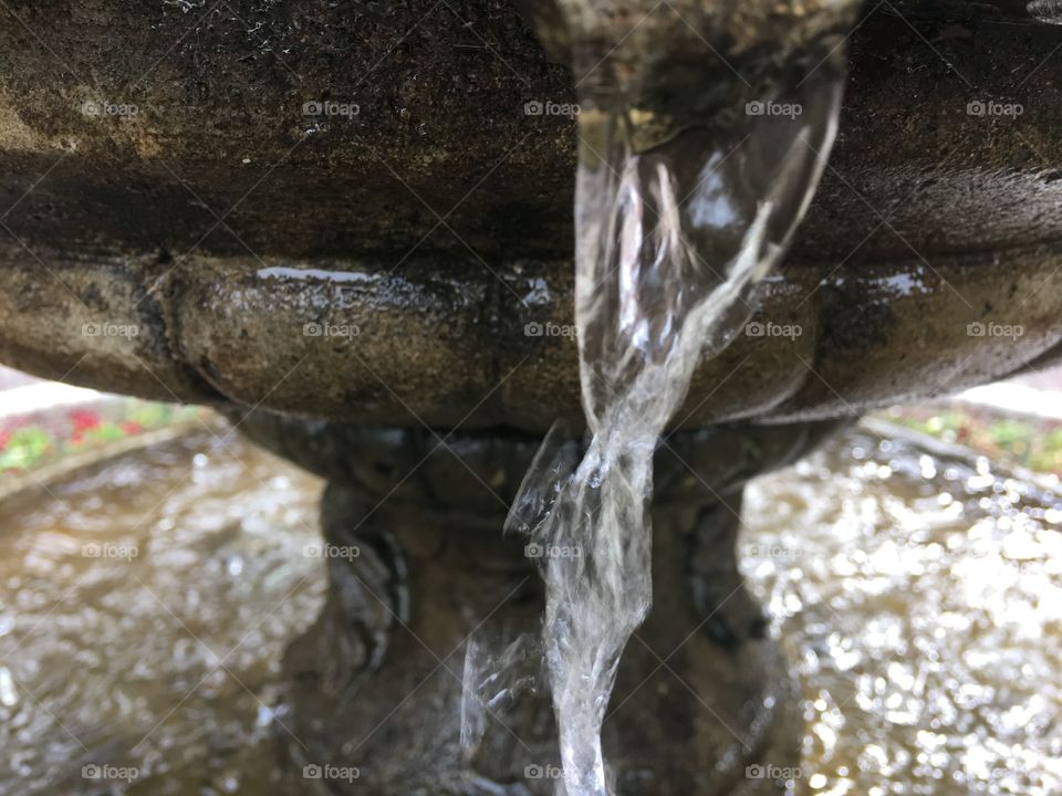 Water fountain 