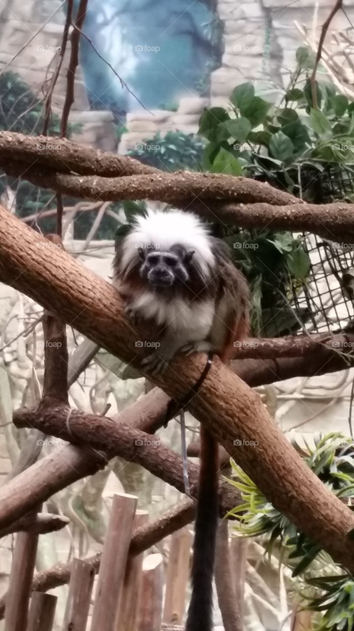 What Are You Looking At?