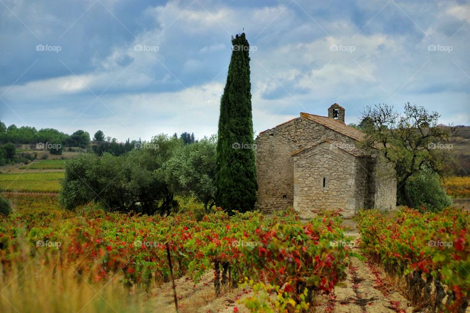 mediterranean autumn