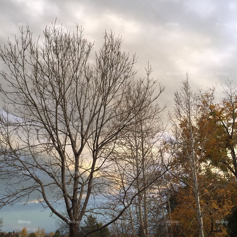 Fall Colorado Sky