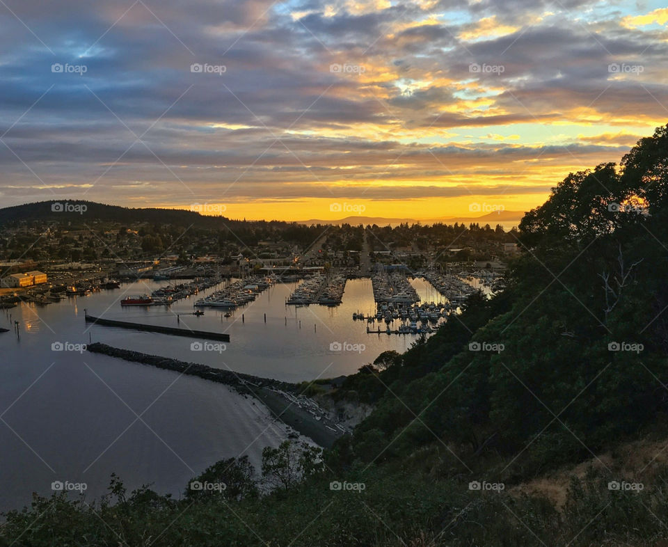 Sunset over the port