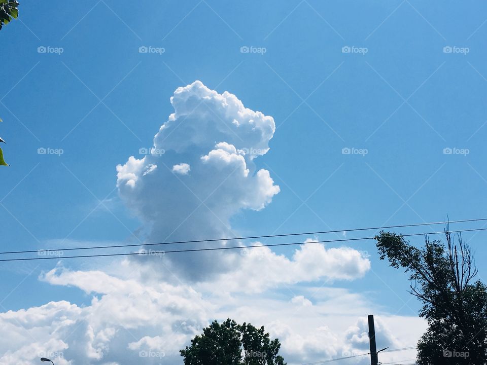 Nuclear cloud