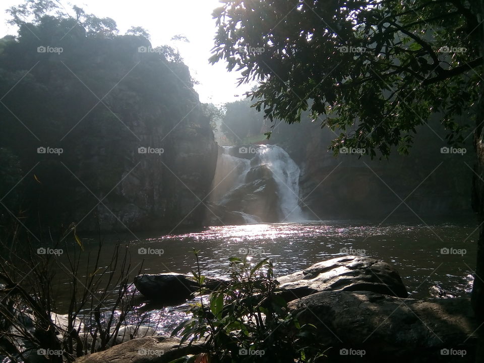 Nature 2017-11-04 
034 
#আমার_চোখে #আমার_গ্রাম #nature 
#devkunda #waterfall