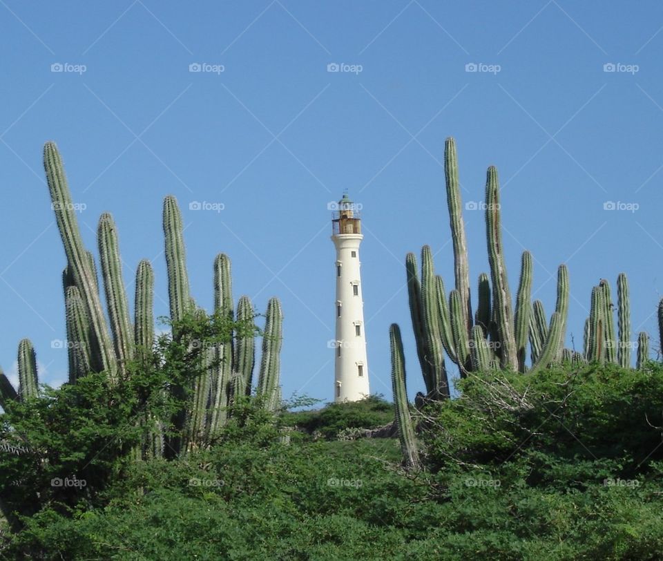 California Lighthouse 
