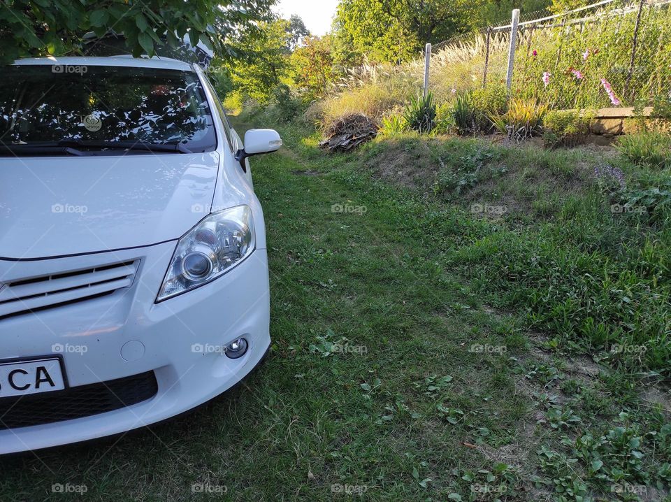 White car on green background