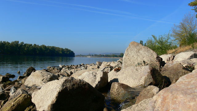 Rhein