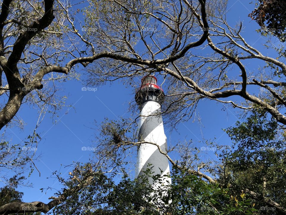 St. Augustine lighthouse. 