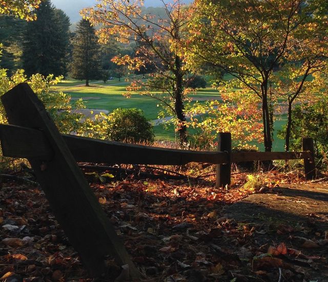 View of the Course