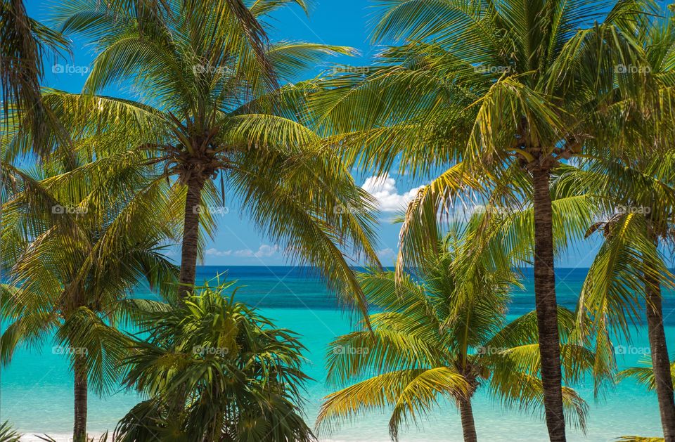 Caribbean paradise.