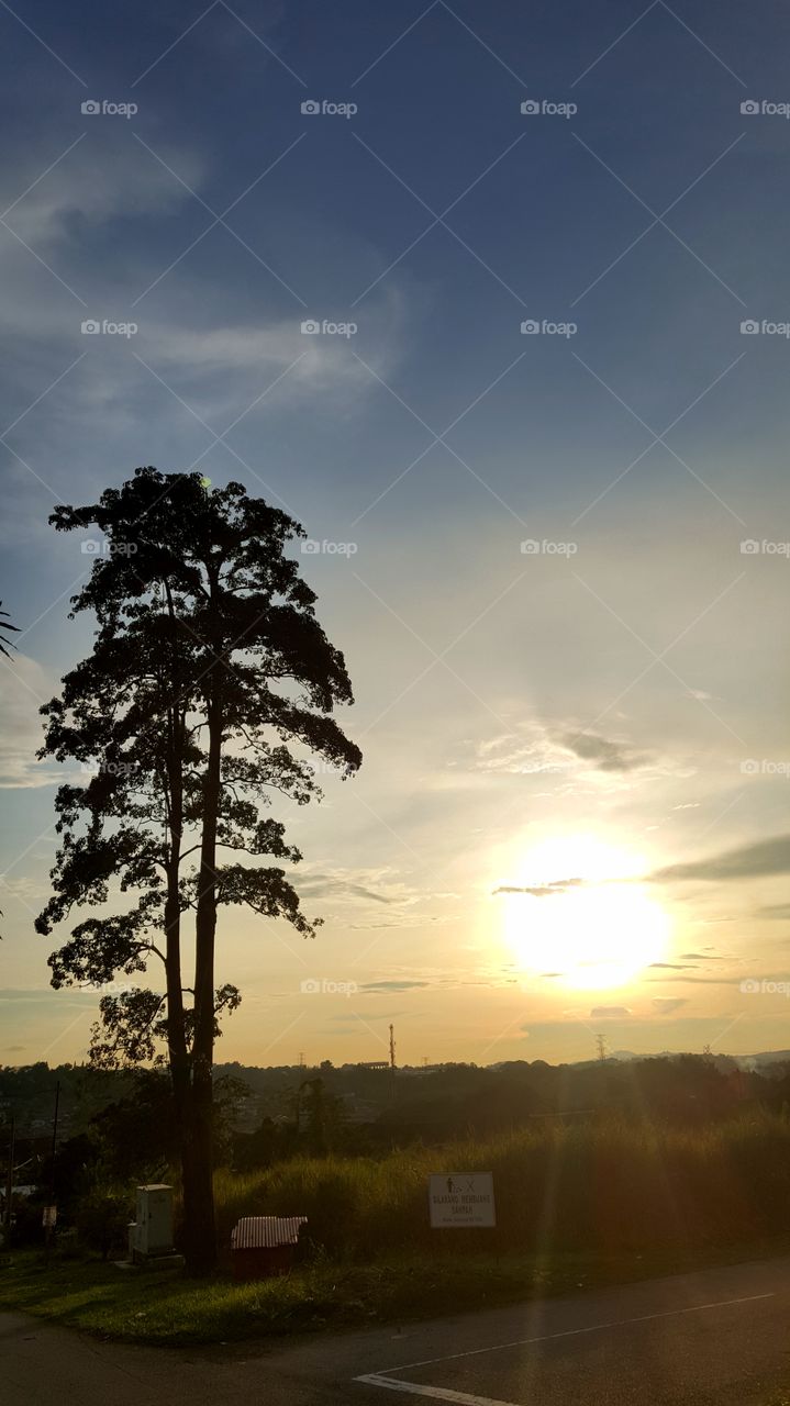 #nature #tree #sun #sunshine #clouds #sky #road