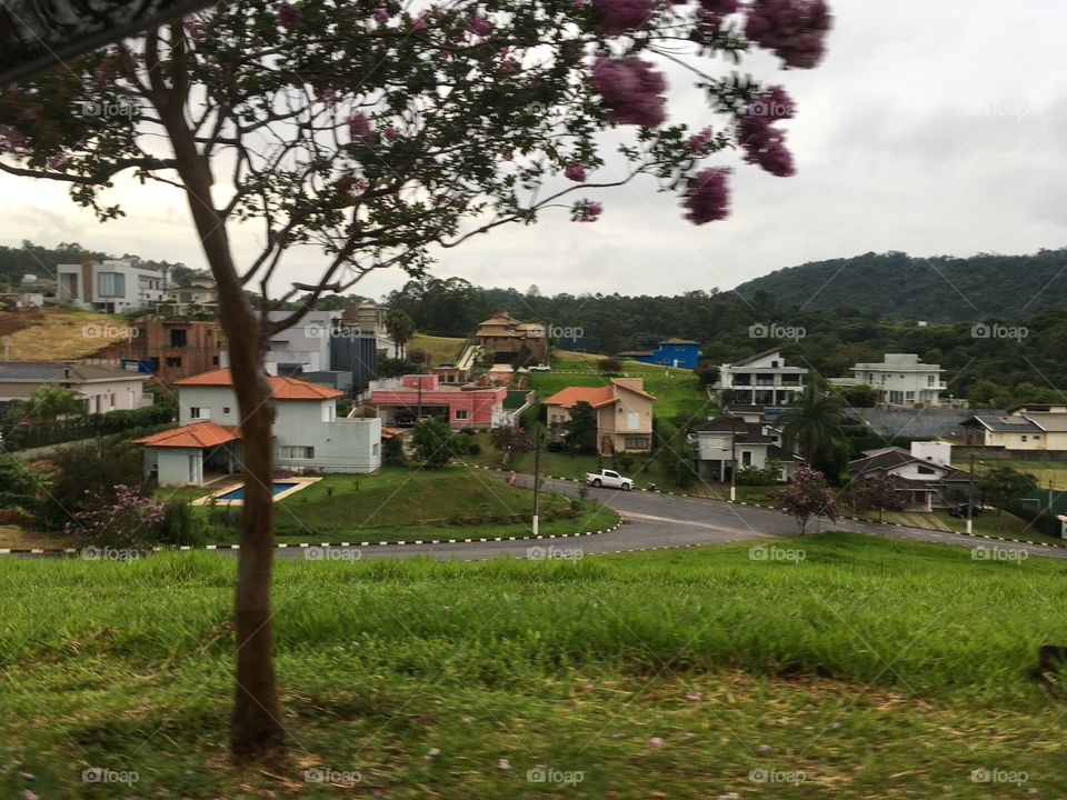 Uma paisagem bucólica de um dia chuvoso. Casas e jardins no infinito horizonte. 