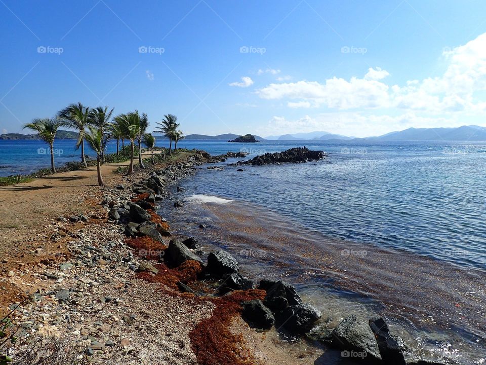 Saphire Beach St. Thomas USVI has a rugged beauty thai is hard to find, a quiet corner for everyone to unwind and enjoy the sights, nowhere else in St. Thomas could we find another spot that could offer so much in just one place