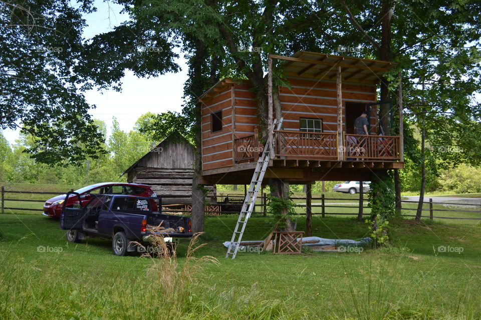 Cabin treehouse 