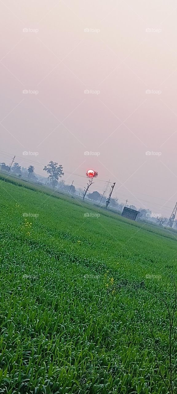 sunset view over fields 🫶🏻