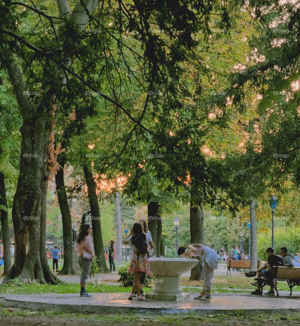 the end of the summer in the park