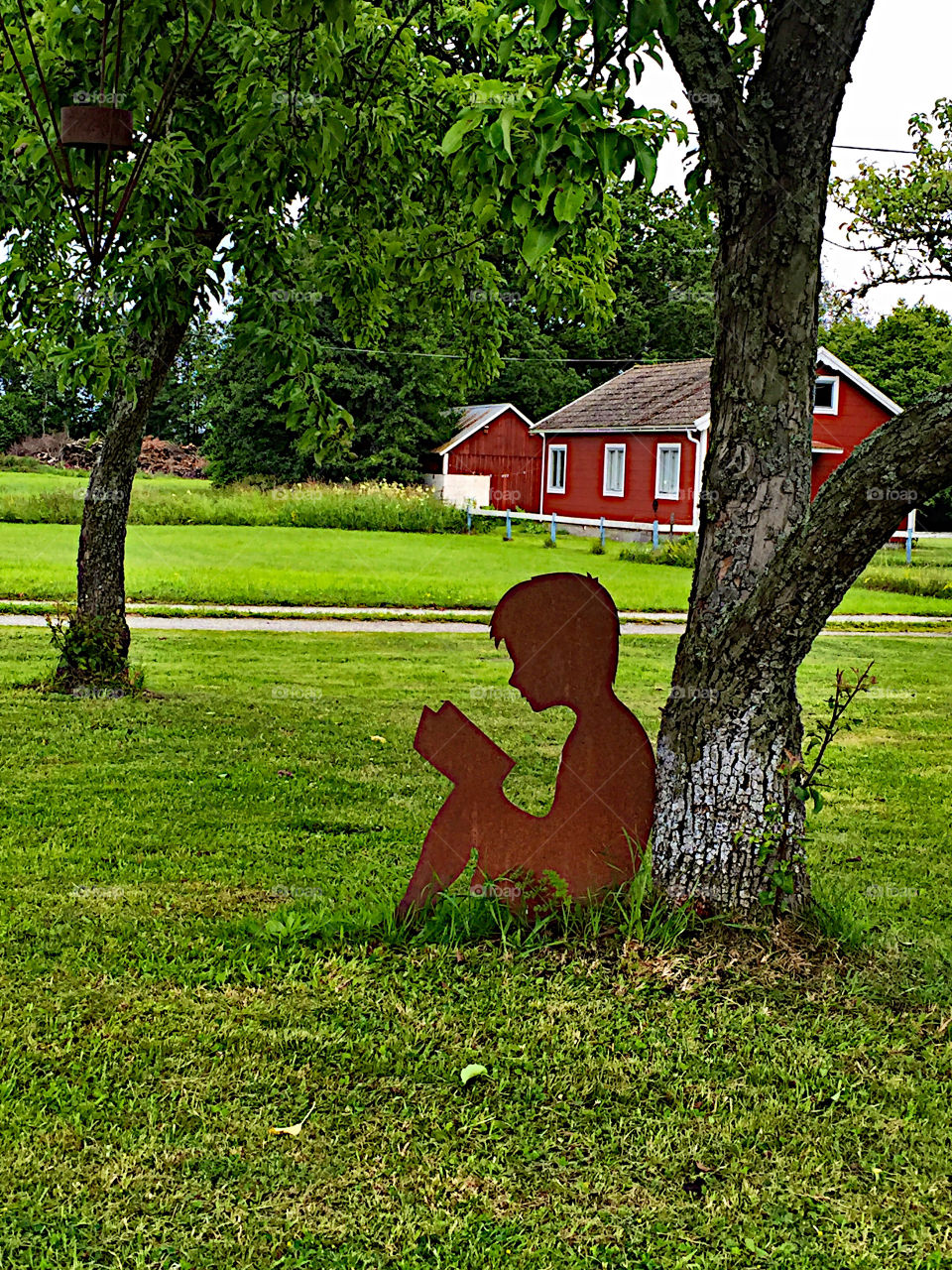 Boy sitting under the tree and reading!