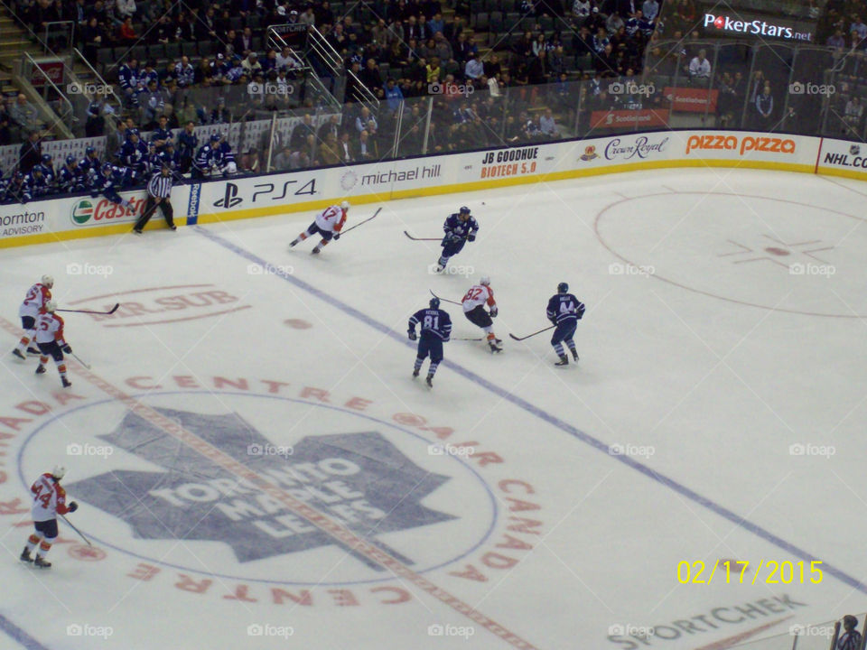 Toronto Maple Leafs Feb 17th 2015
