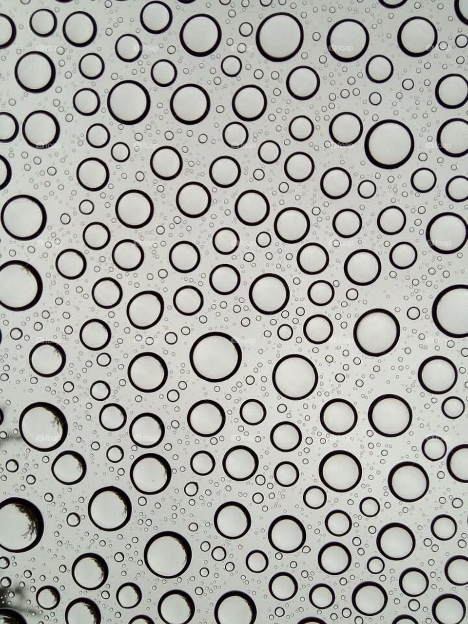 Raindrops