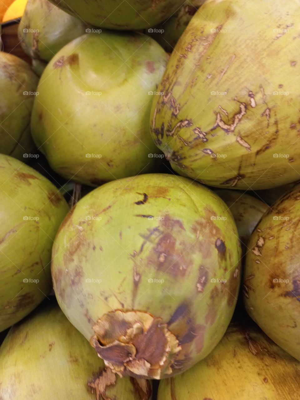 Coco verde é uma ótima fonte de potássio,  nutrientes responsável  pela saúde cardiovascular, tem maganês, que ajuda a melhorar o metabolismo, fortalece os ossos , evita cãibras e tem ação anti-inflamatória