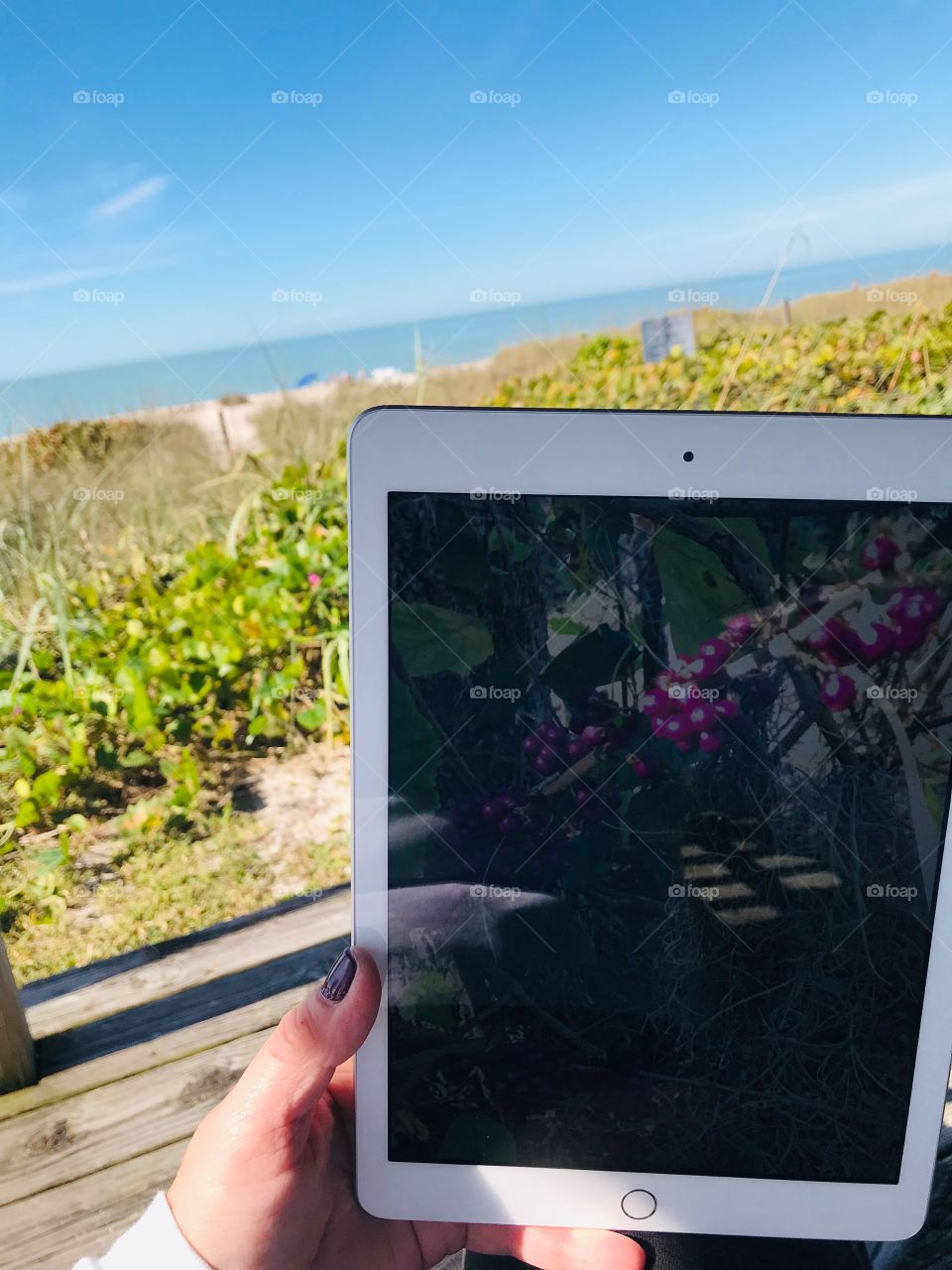 iPad by beach view 