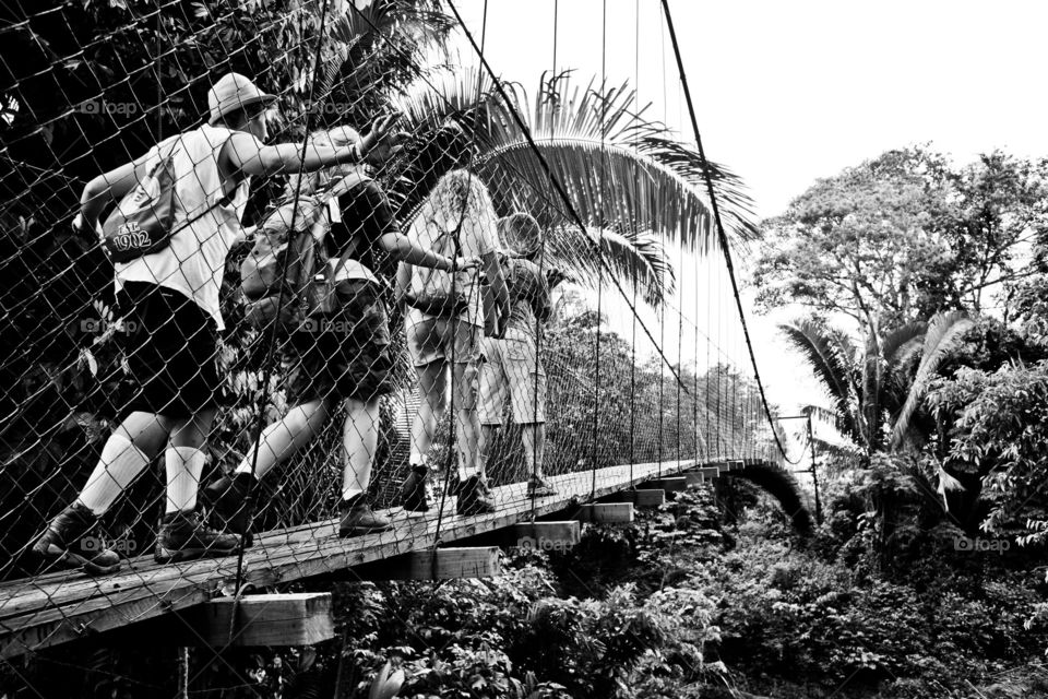 People crossing bridge in jungle. 