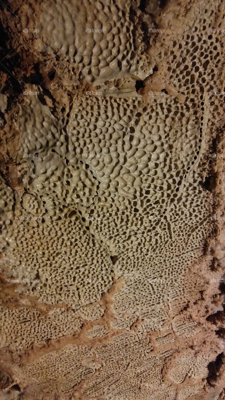 Cave Ceiling