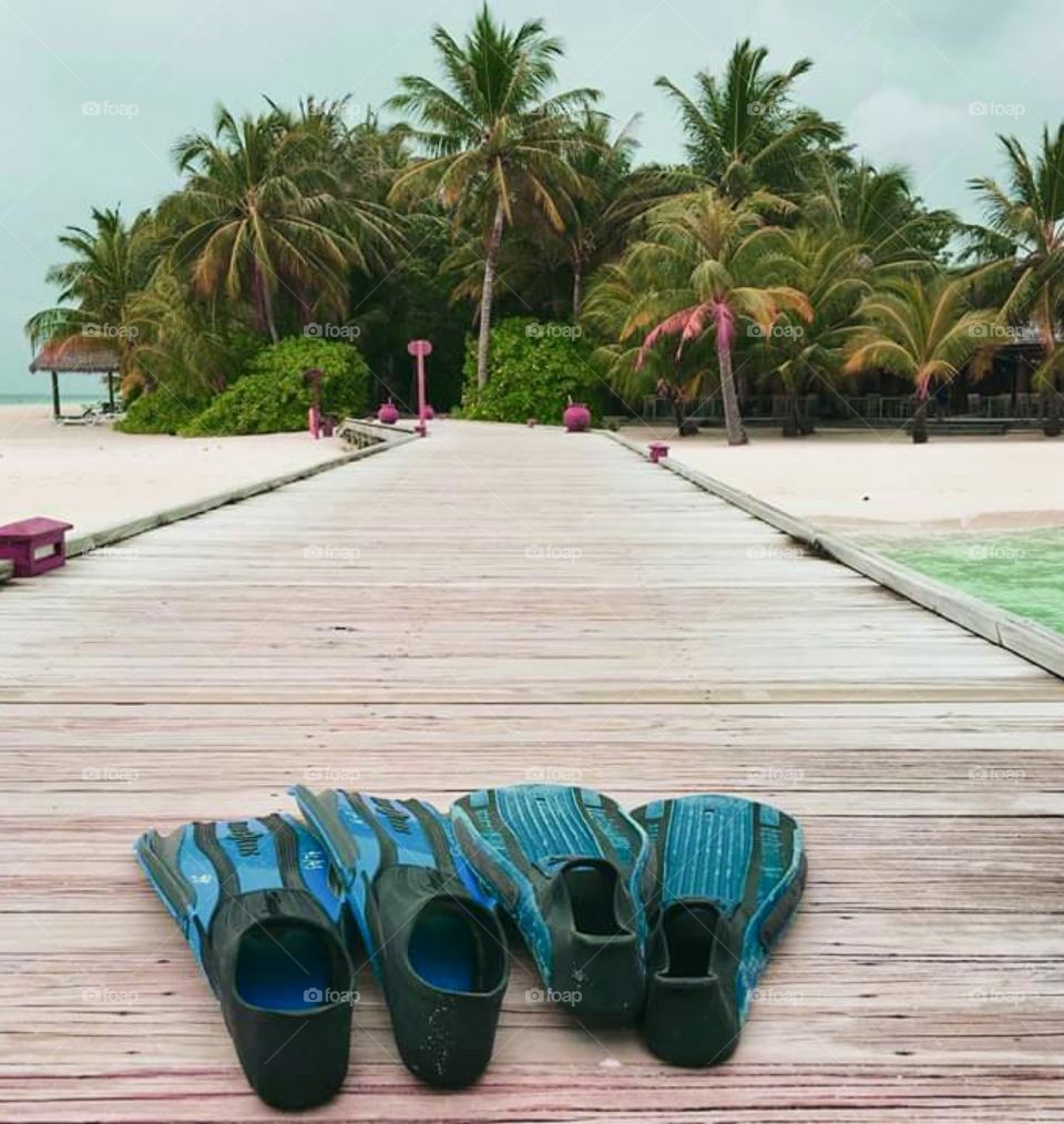 Getting ready for a swim.