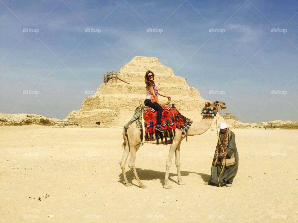 Sand, Travel, Camel, Desert, Beach