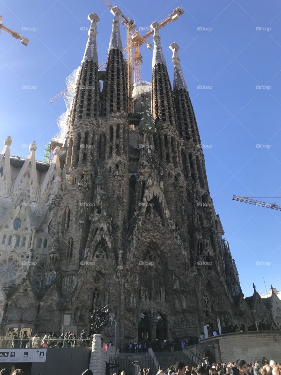 Sagrada familia 