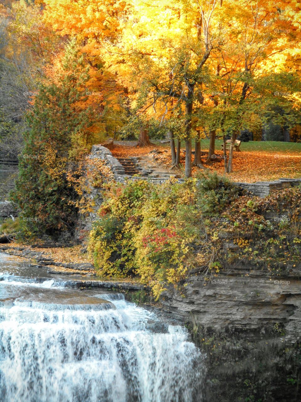 fall in the finger lakes