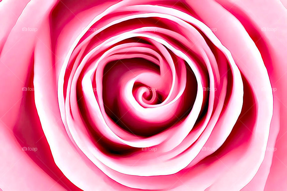 Pink vortex